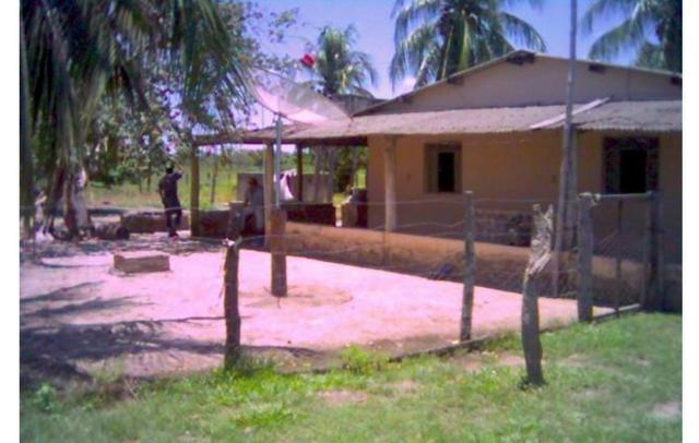 Vendo fazenda com 1.625 hectares em Poconé - MT a proximadamente 120 km de Cuiaba - Foto 6