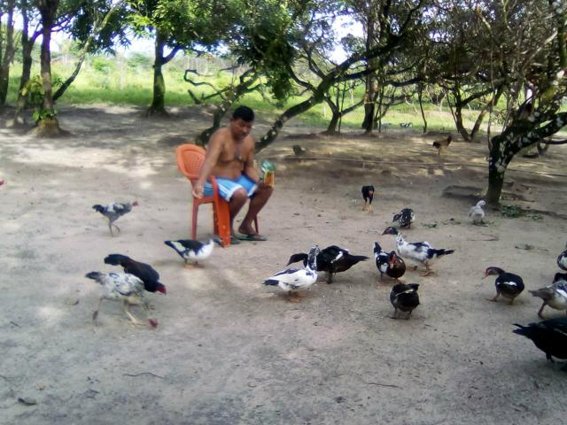 Vendo 1 sito na beira do Mar - Foto 19