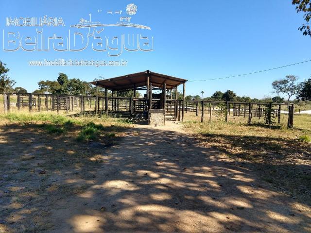Fazenda Pecuaria 322 Hectares Plana - Foto 5