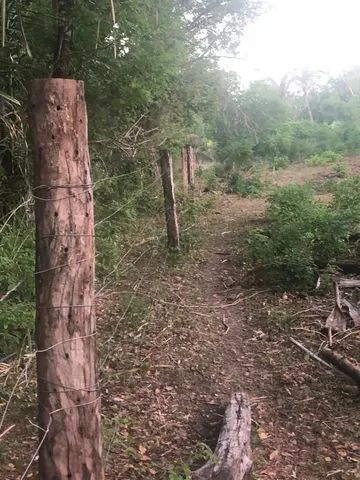 Fazenda 370alq, Tocantins. + Jazida de Ferro e Manganês.  - Foto 2