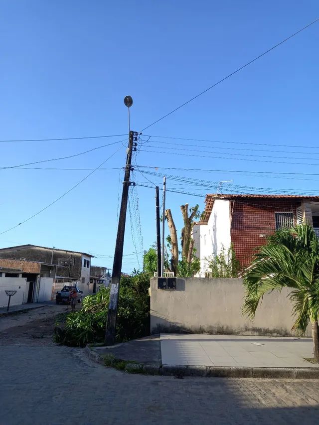 Poda de árvores. * faça seu orçamento sem compromisso - Foto 5