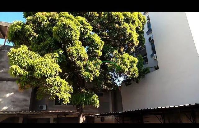 Terreno Rua João Pessoa Venda Centro Nilópolis - Foto 5