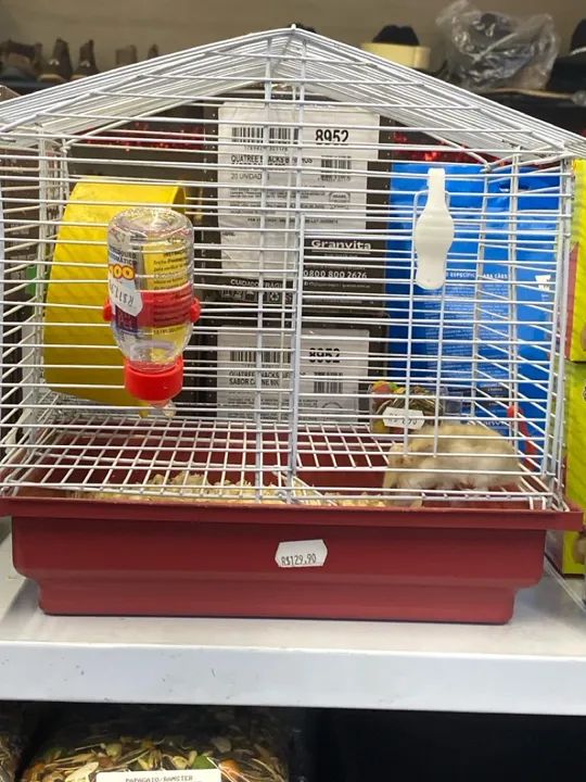 Gaiola com hamster e com acessórios - Foto 4
