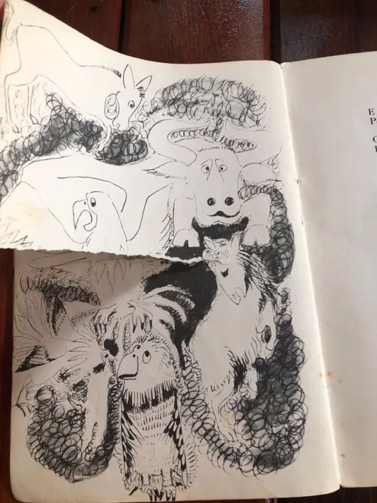 Livro A Arca de Noé  - Foto 2