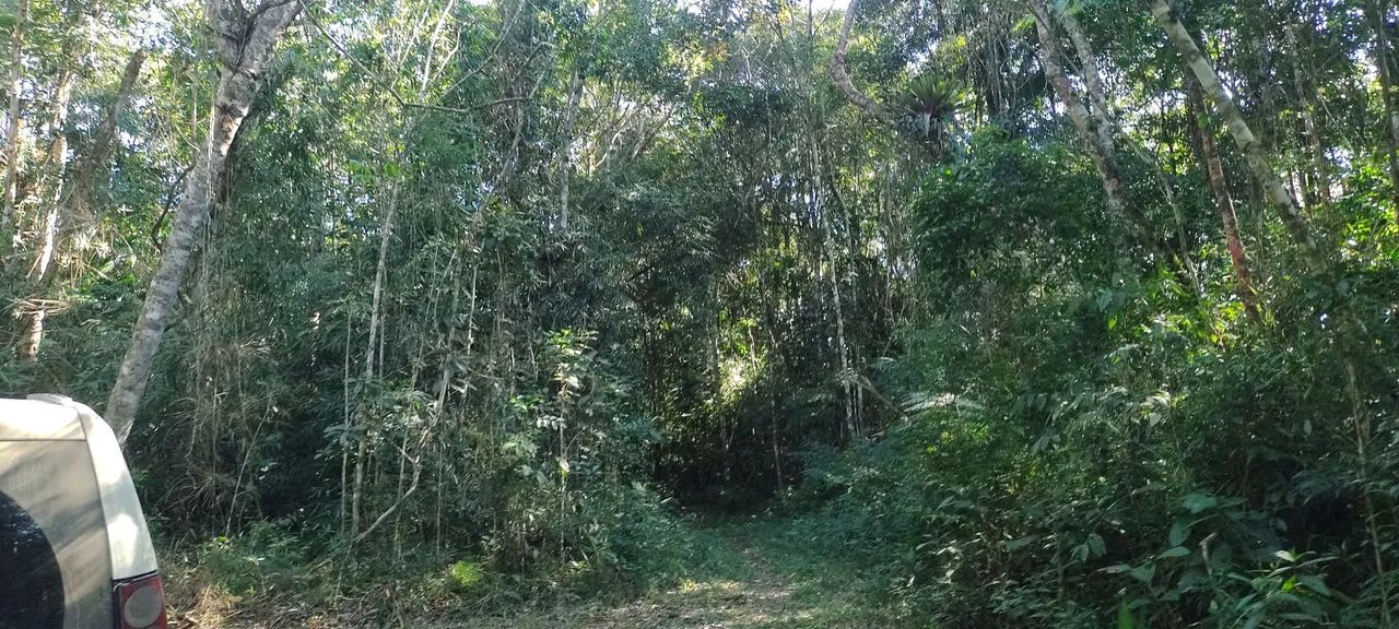 Lindos 20 mil mts izolado próximo asfalto 93 mil reais  - Foto 3