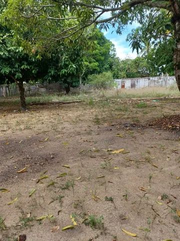 Vendo Sitio em Riacho Doce - Foto 4