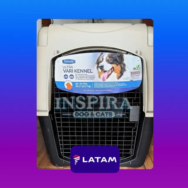 Caixa de transporte todos os tamanhos