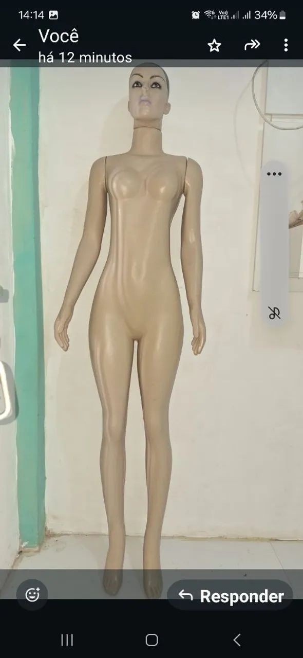 Venda - Foto 3