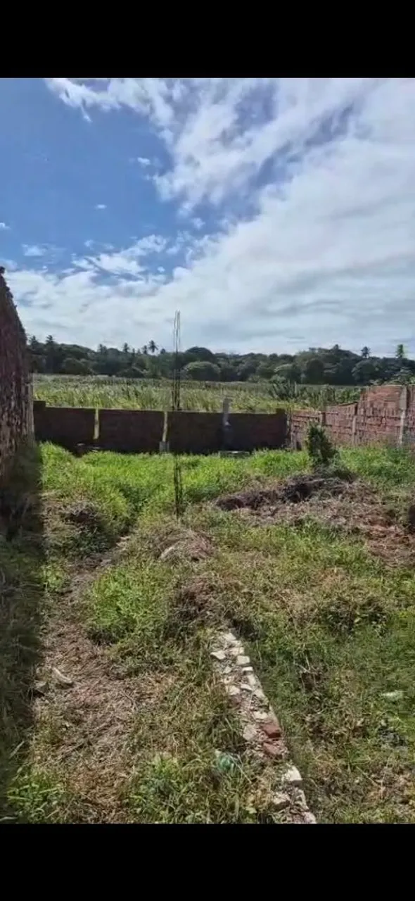vendo ou troco terreno todo no muro.