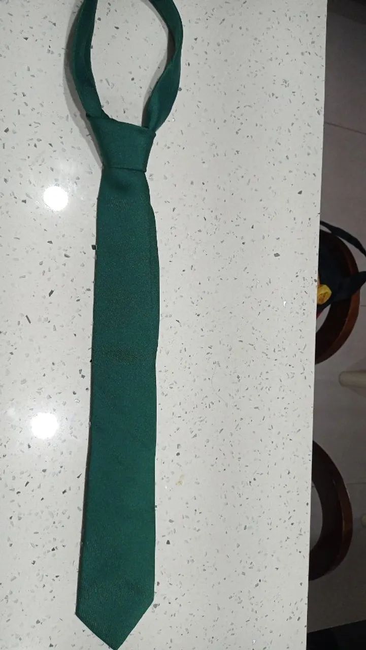 8 Gravatas Verdes - Foto 2