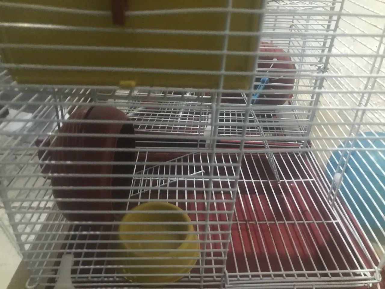 Gaiola para Roedores - Foto 4