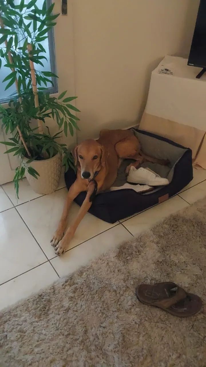 DOAÇÃO RESPONSÁVEL