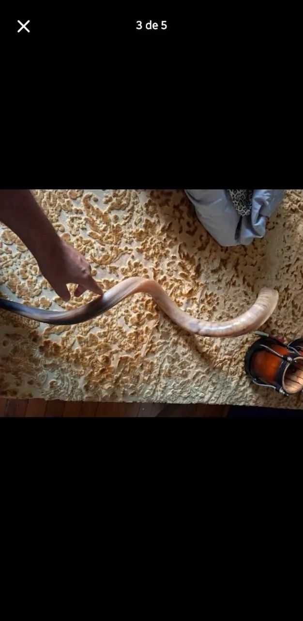 Shofar  - Foto 3