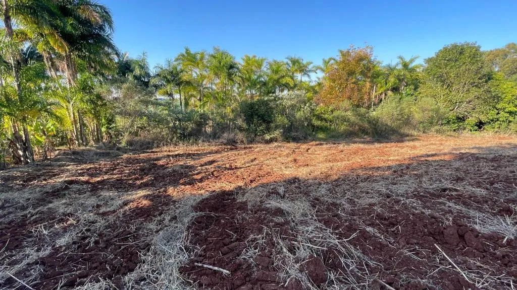 Chácara escriturada à venda em Marialva, Zona Rural, com 1666.66 m² - Foto 5