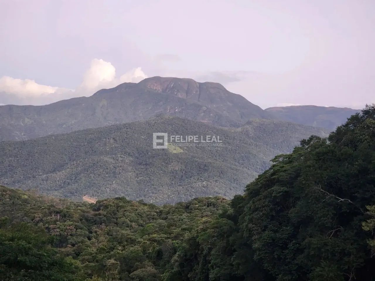 Fazenda / Sítio / Chácara em Vargem Grande - Águas Mornas, SC - Foto 3