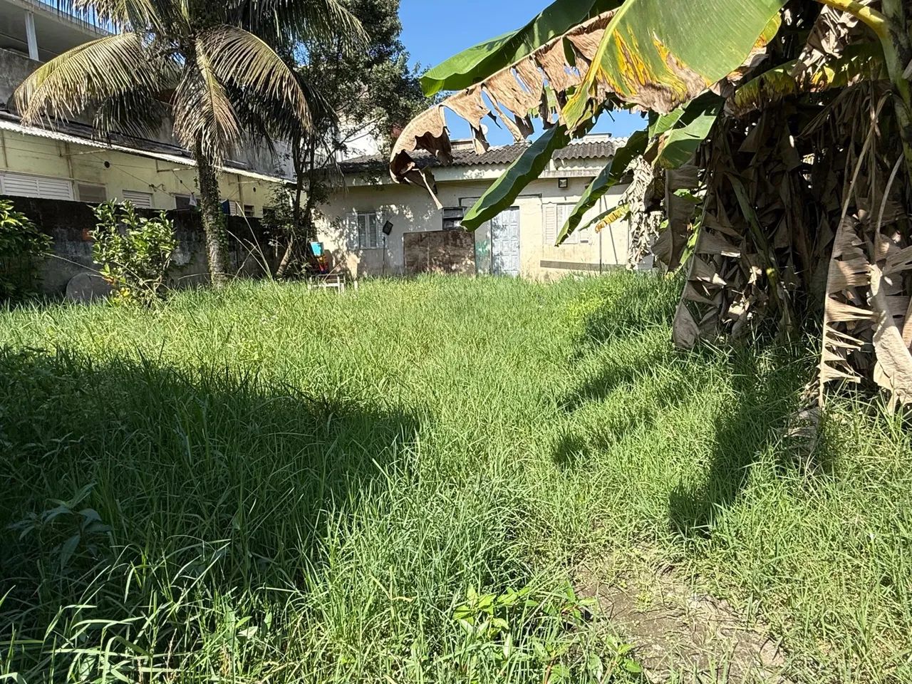 Foto - Guarujá - Pitangueiras