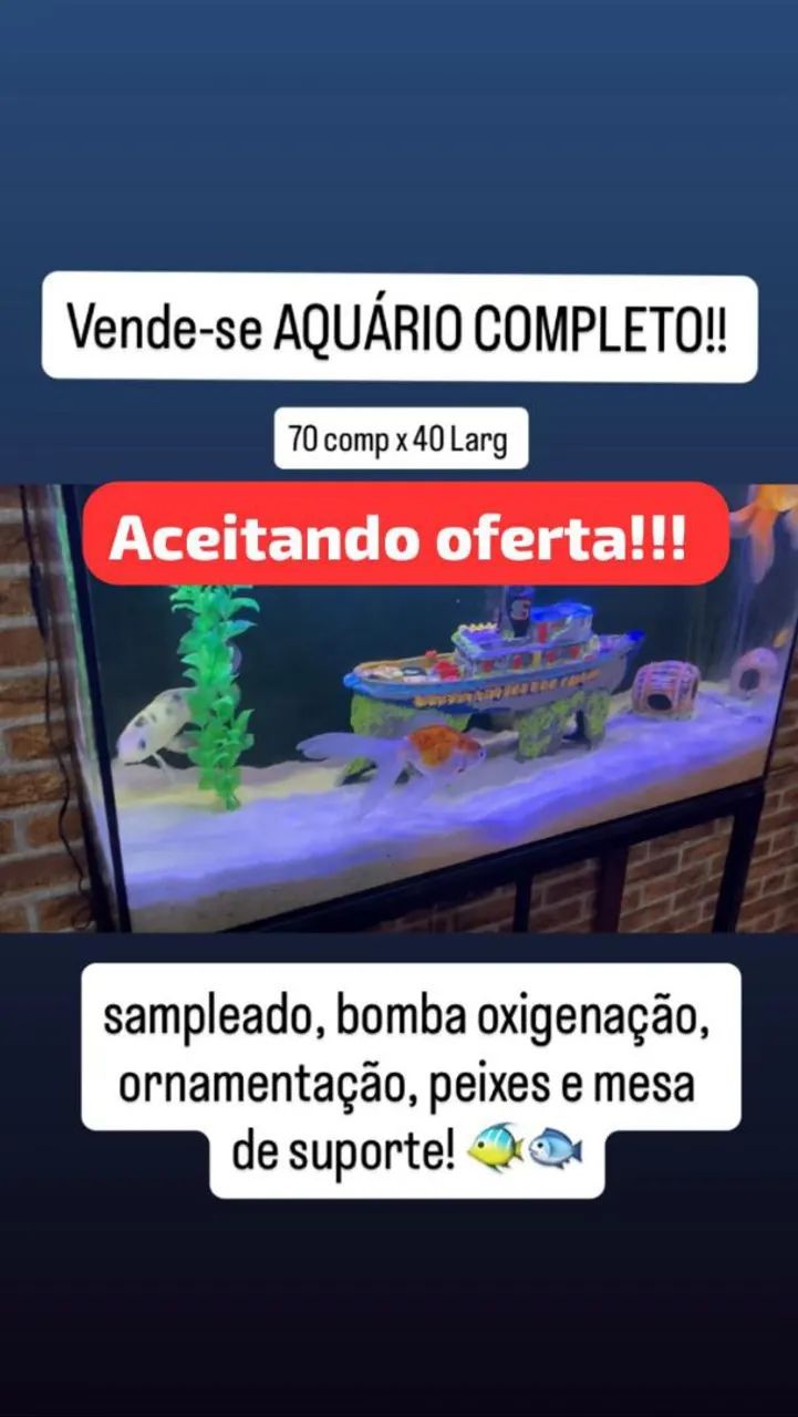 Aquário grande - Foto 3