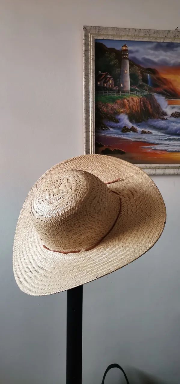Chapéu Pantaneiro Palha - Foto 3