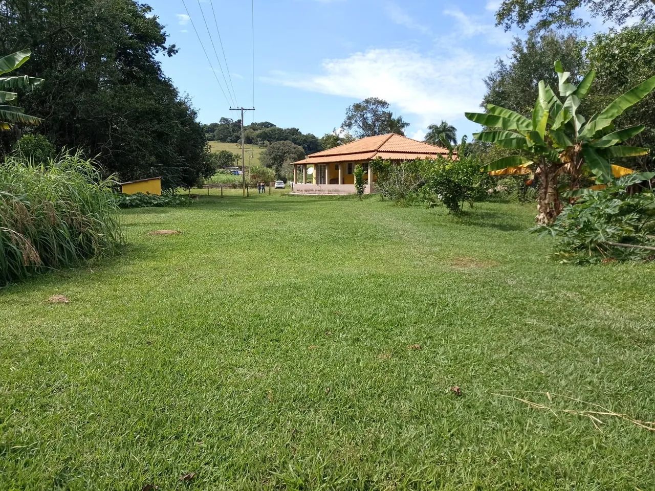 Chácara 2500m², São José Do Alegre M/G  - Foto 4