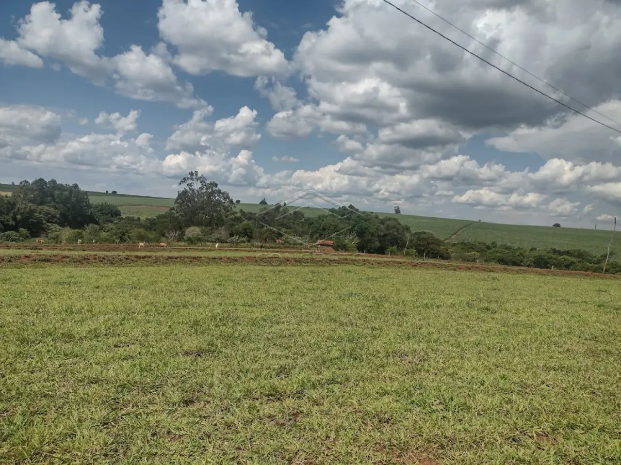 Rural Sitio em Dois Córregos