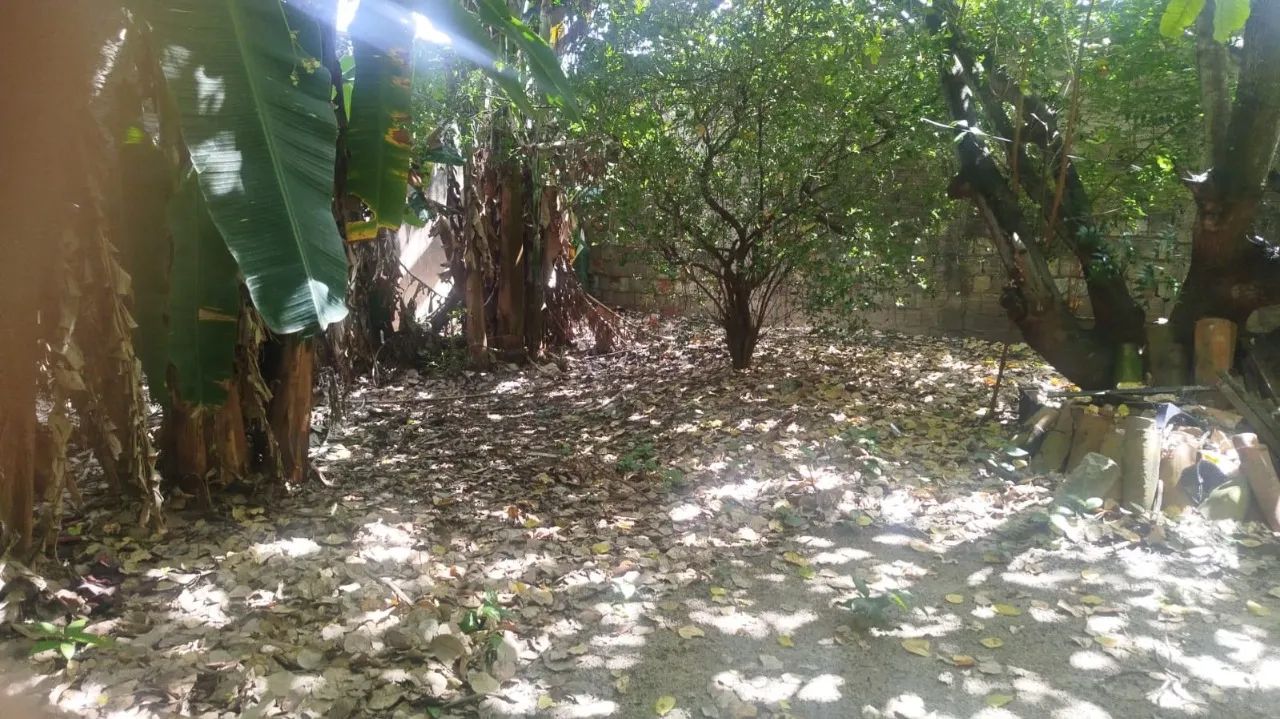 Terreno á venda Henrique Jorge - Foto 3