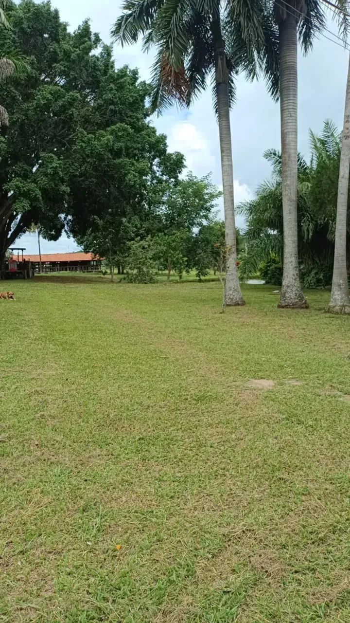 Chácara extra a genda, em Guapó - Goiás! - Foto 4
