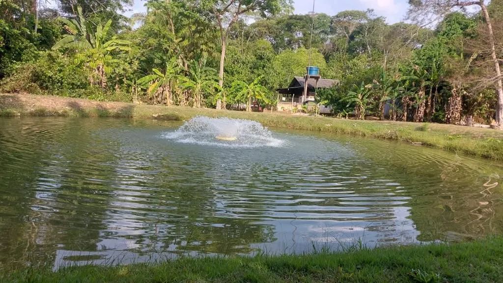 PROPRIEDADE RURAL À VENDA - Foto 2