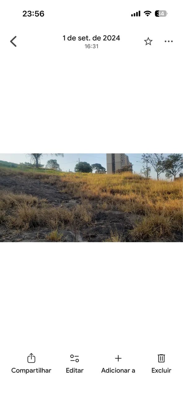 Lote - Foto 3