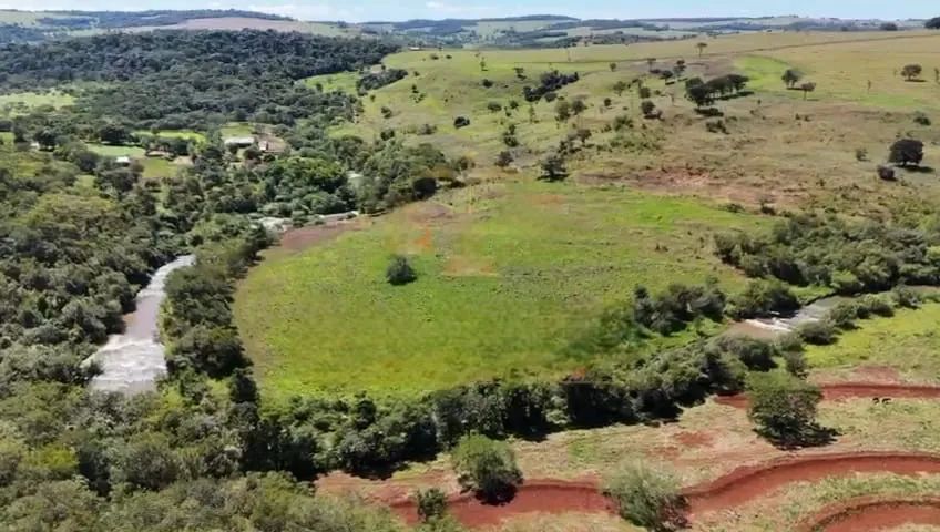 Fazenda em Uberlândia 100 hectares  - Foto 5