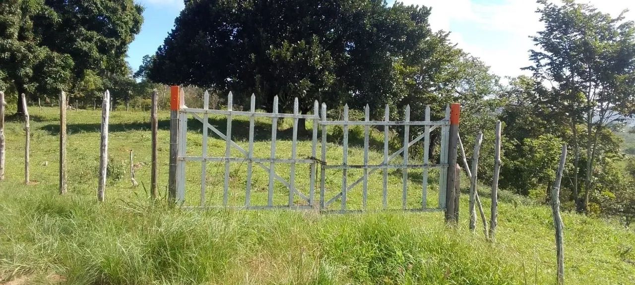 Vende-se Sítio  - Foto 2