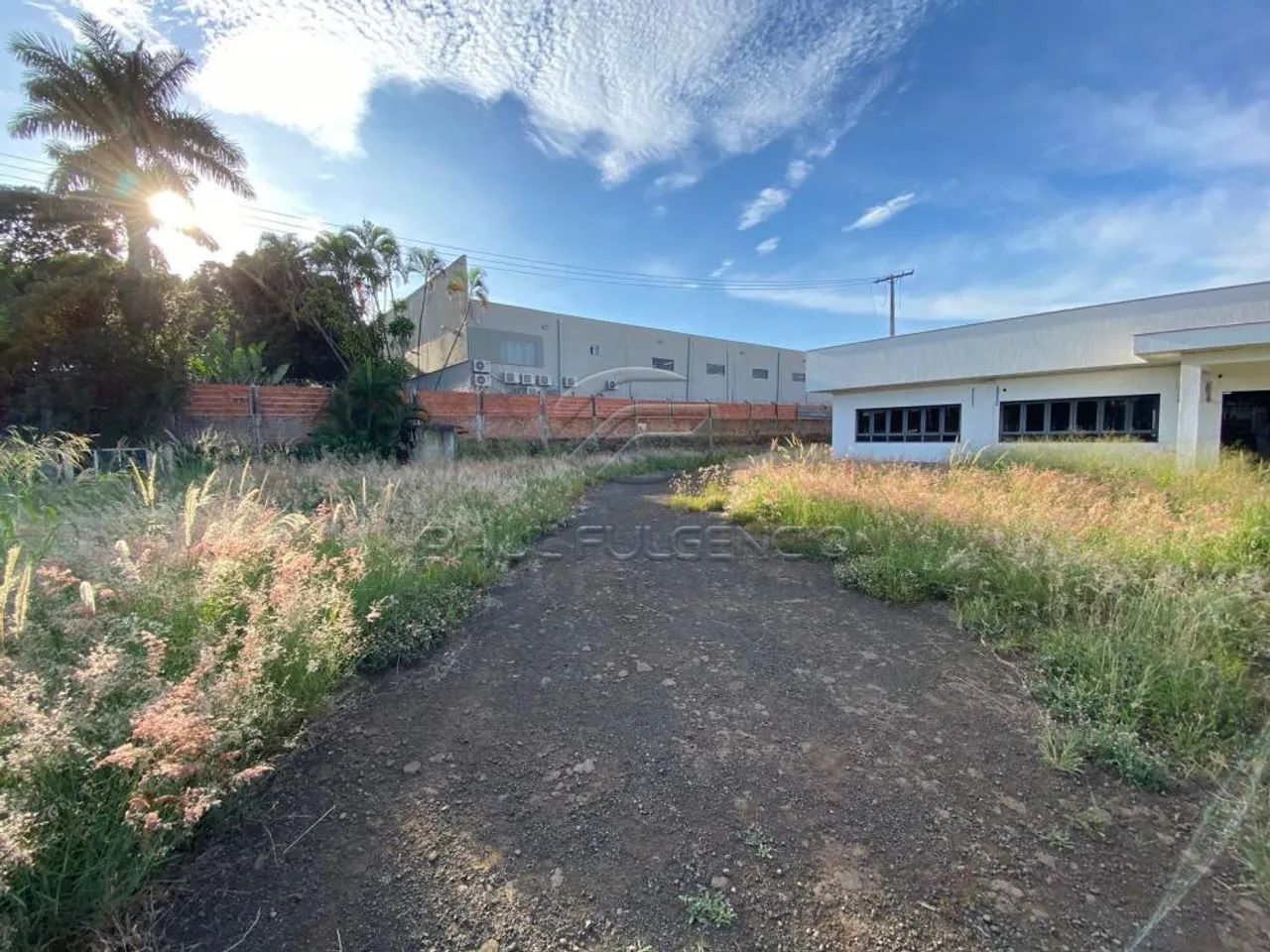 Barracão Industrial/Comercial para Locação/Venda - Foto 3