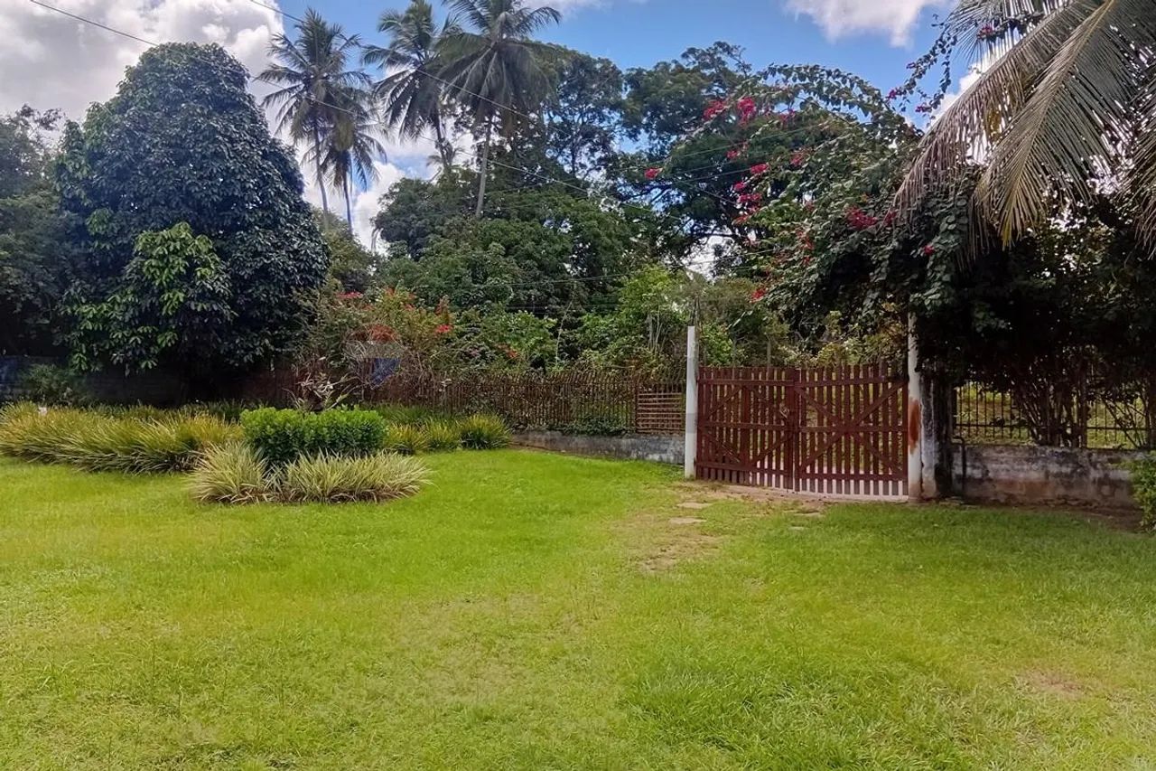Sitio a Venda em Abrantes (Área Rural) - Foto 4