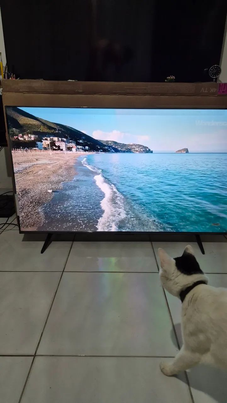 Tv Televisão TCL 50`` 4k