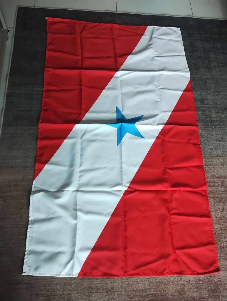 Bandeira e camisa do Pará  - Foto 2