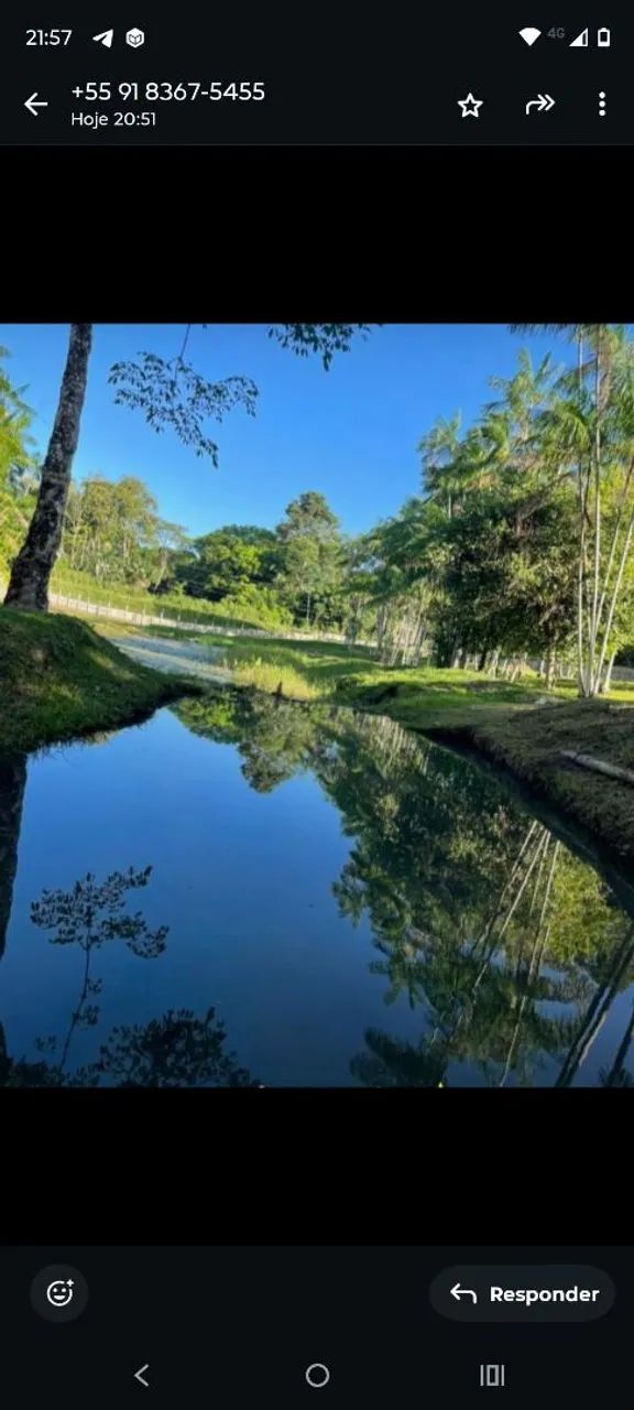 Foto - Belém - Parque Verde