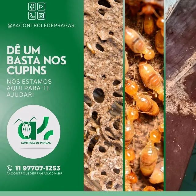 Livre-se das Pragas com Quem Entende do Assunto!