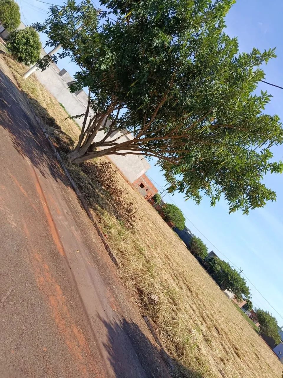 Vendo terreno. - Foto 3