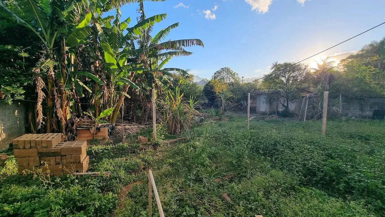 Lote / Terreno - Nova California - Foto 2