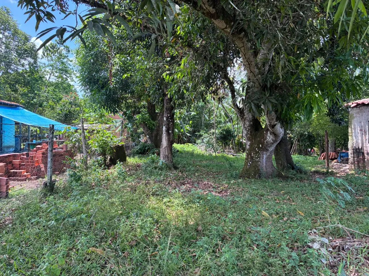 Vendo terreno. - Foto 5