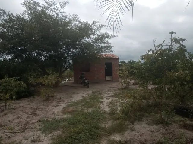 Terreno 2000m2 - Foto 2