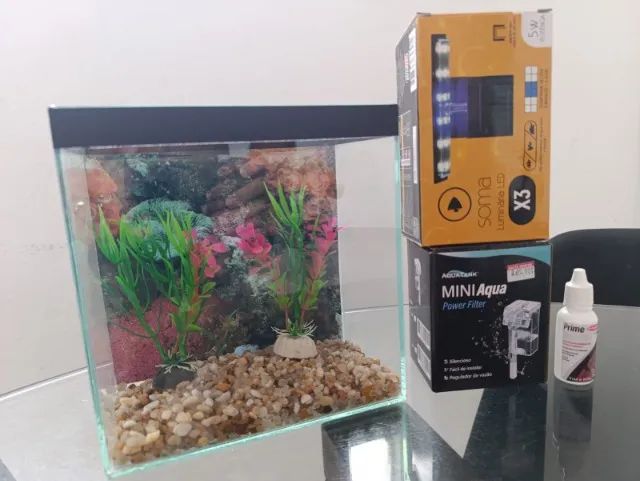 Aquário Completinho