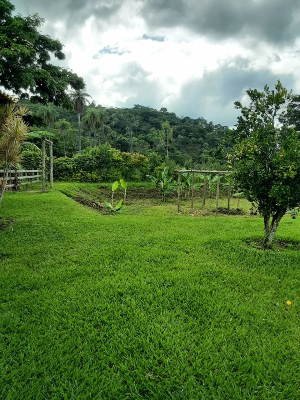 Sitio com piscina com terreno de 10.000 m², com corrego no fundo - Foto 3