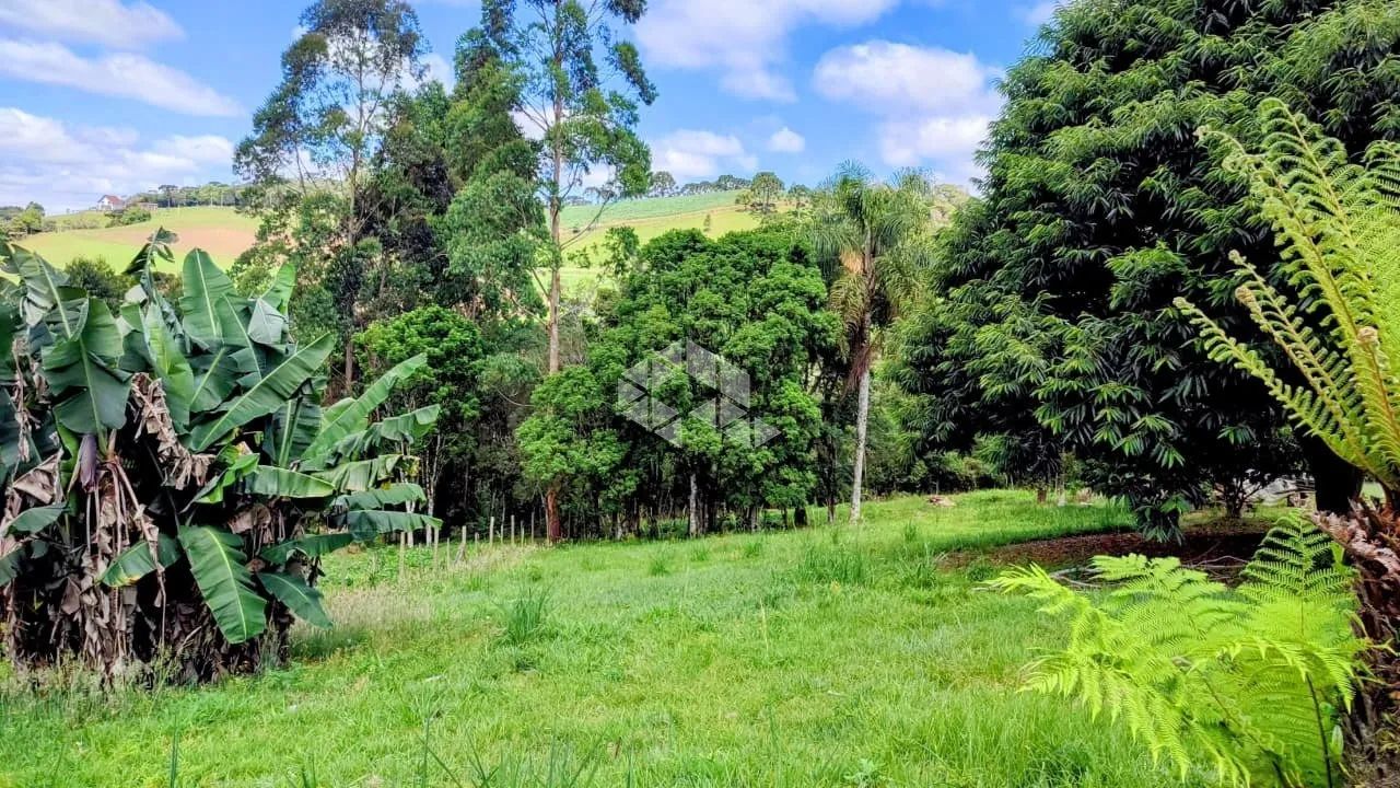 Sítio em Alfredo Wagner- SC - 54.000 m² - Foto 3