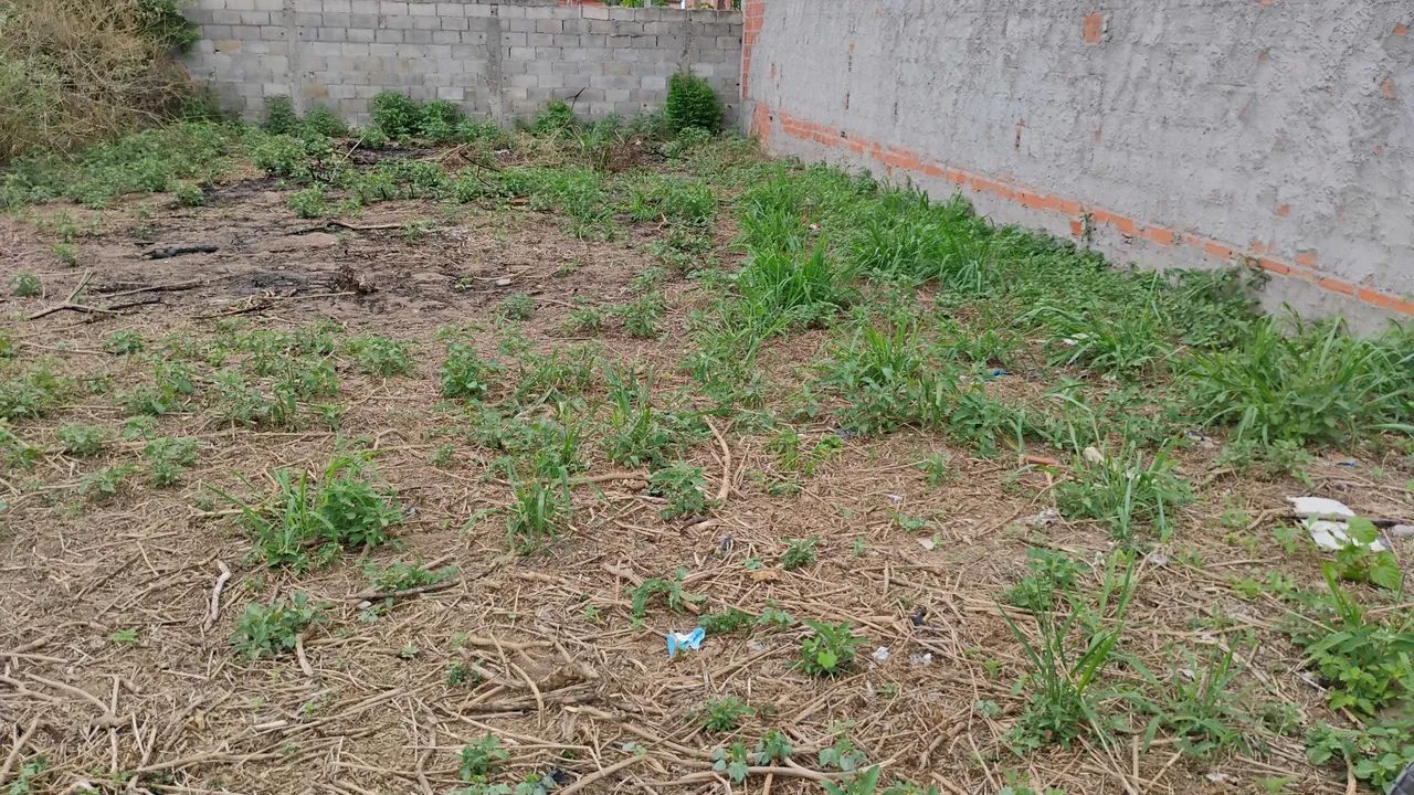 Terreno - Foto 4