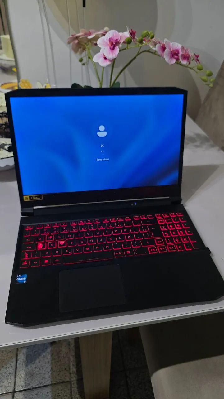 Acer Nitro 5
