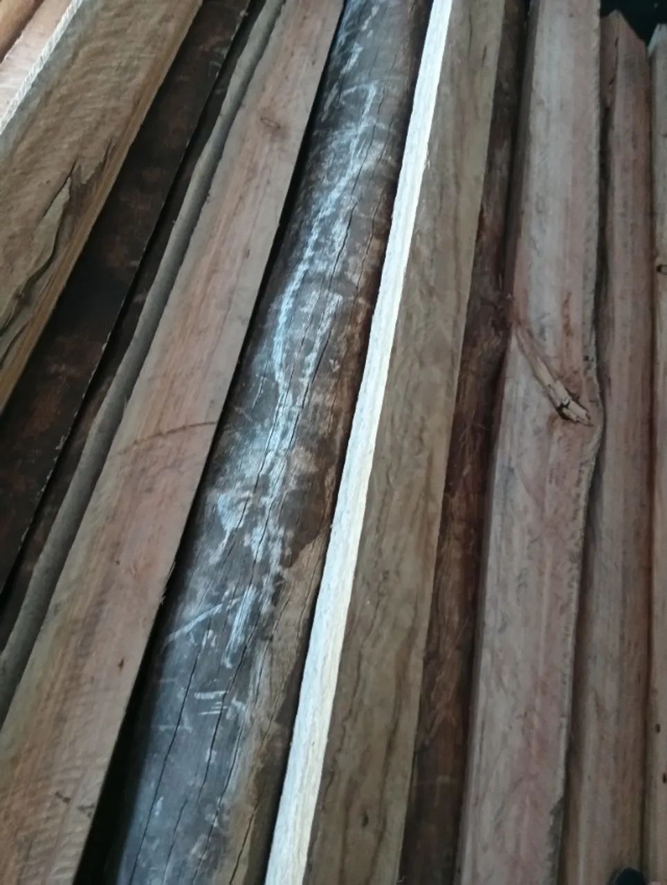 Lasca de eucalipto  - Foto 6