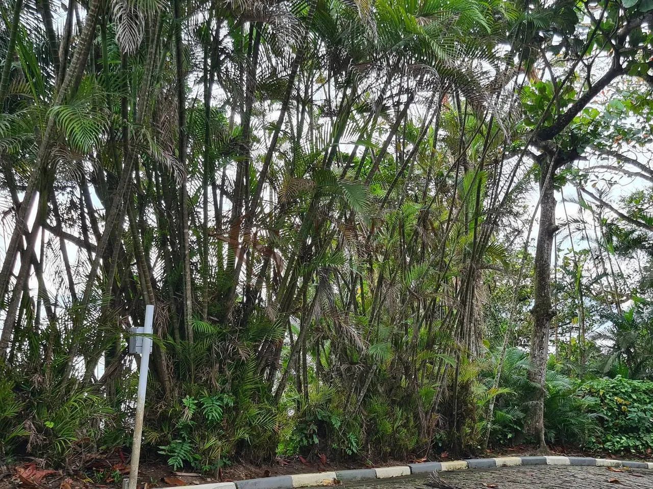 TERRENOS A VENDA PENÍNSULA - Foto 4