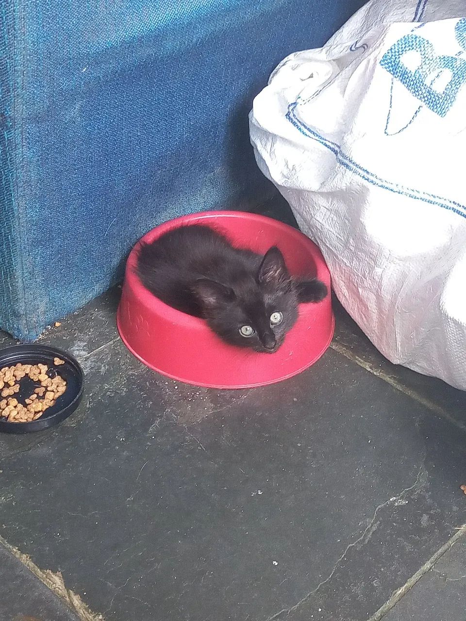 Doação consciente  - Foto 3