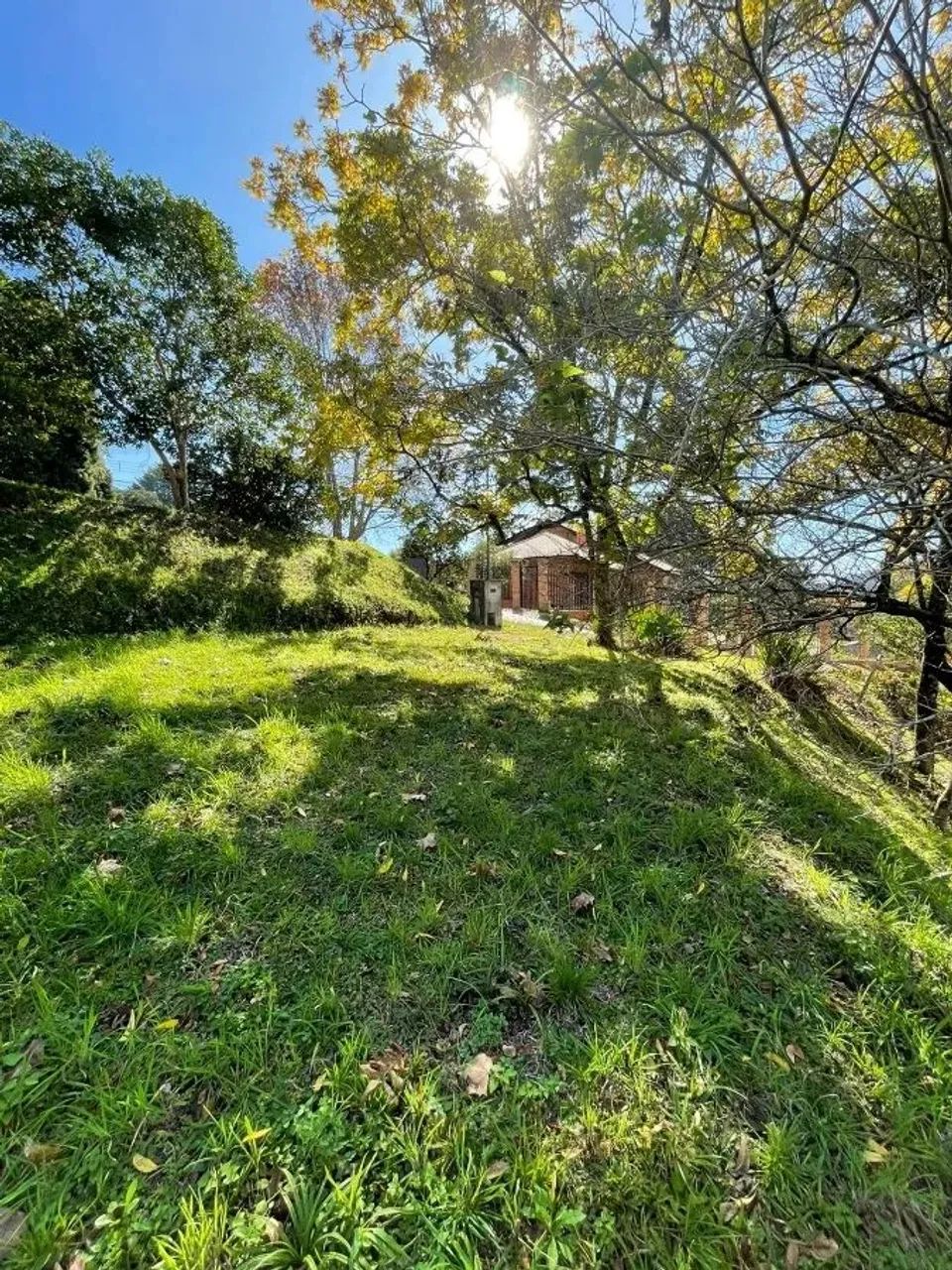 CAXIAS DO SUL - Terreno Padrão - LINHA 40 - Foto 13