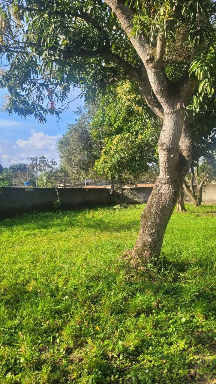 Vendo ou troco casa estilo chácara - Foto 3